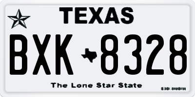 TX license plate BXK8328