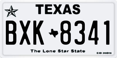 TX license plate BXK8341