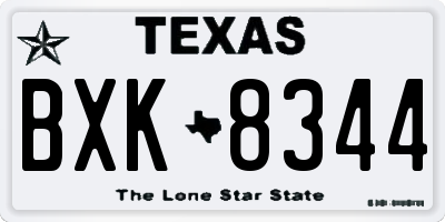 TX license plate BXK8344