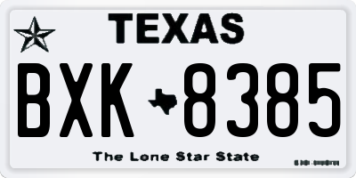 TX license plate BXK8385