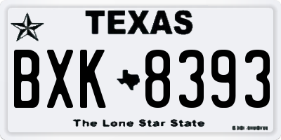 TX license plate BXK8393