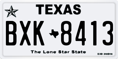 TX license plate BXK8413