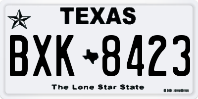 TX license plate BXK8423