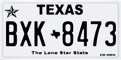 TX license plate BXK8473