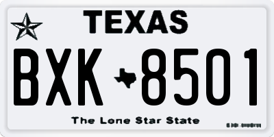 TX license plate BXK8501