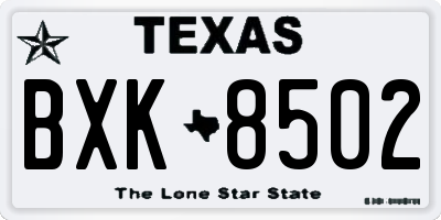 TX license plate BXK8502