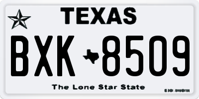TX license plate BXK8509