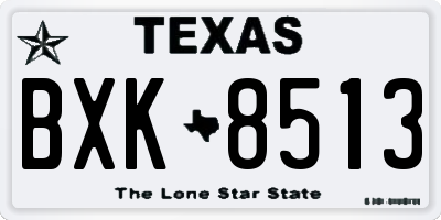 TX license plate BXK8513