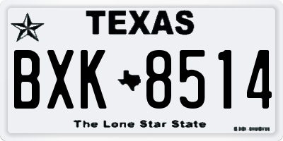 TX license plate BXK8514