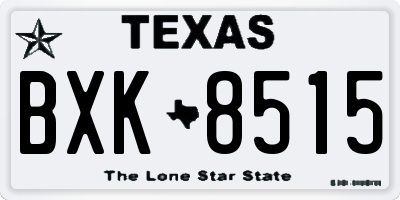 TX license plate BXK8515