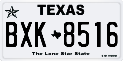 TX license plate BXK8516