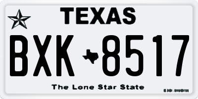 TX license plate BXK8517
