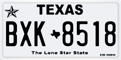 TX license plate BXK8518