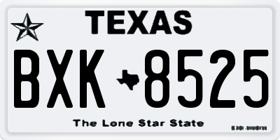 TX license plate BXK8525