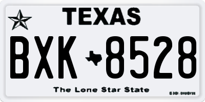 TX license plate BXK8528