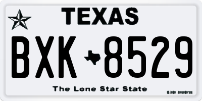TX license plate BXK8529