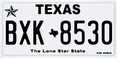 TX license plate BXK8530