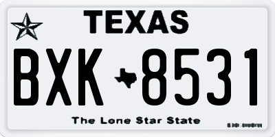 TX license plate BXK8531