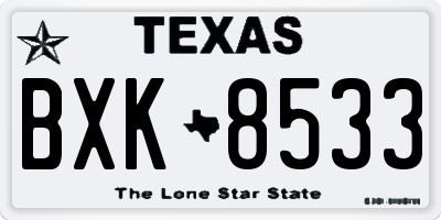 TX license plate BXK8533
