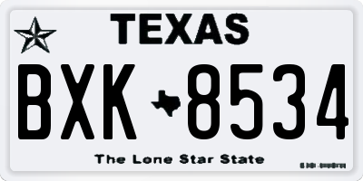 TX license plate BXK8534