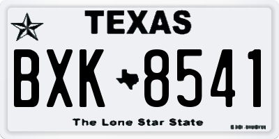 TX license plate BXK8541