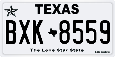 TX license plate BXK8559