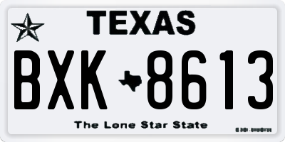 TX license plate BXK8613