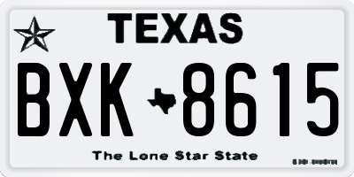 TX license plate BXK8615