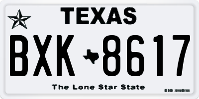 TX license plate BXK8617