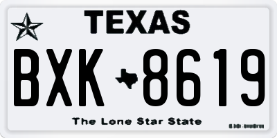 TX license plate BXK8619