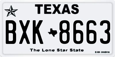 TX license plate BXK8663