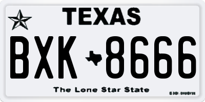 TX license plate BXK8666