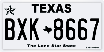 TX license plate BXK8667