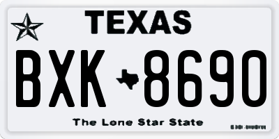 TX license plate BXK8690