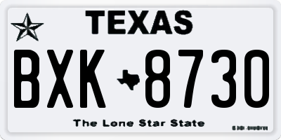 TX license plate BXK8730