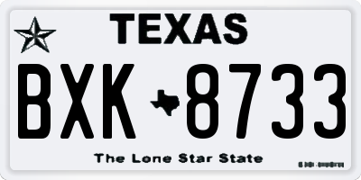 TX license plate BXK8733
