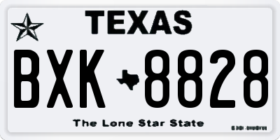 TX license plate BXK8828