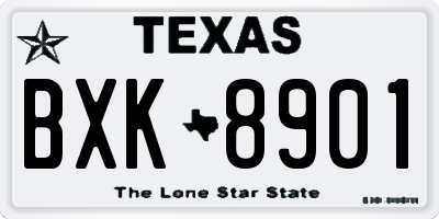 TX license plate BXK8901
