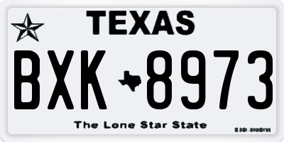 TX license plate BXK8973