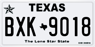 TX license plate BXK9018