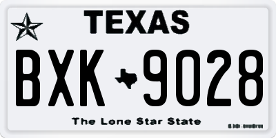 TX license plate BXK9028