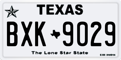 TX license plate BXK9029