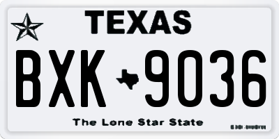 TX license plate BXK9036