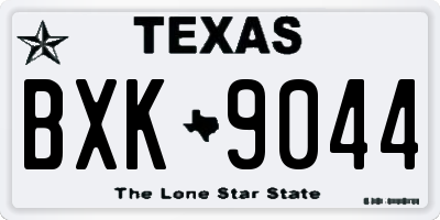 TX license plate BXK9044