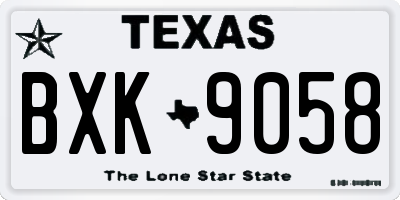 TX license plate BXK9058