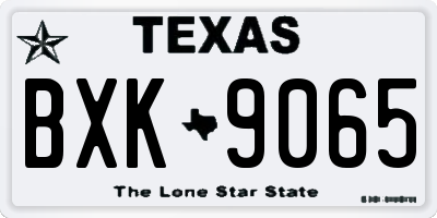 TX license plate BXK9065