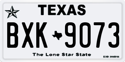TX license plate BXK9073