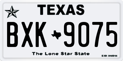 TX license plate BXK9075