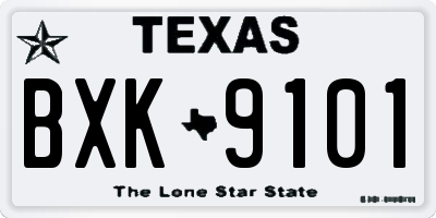 TX license plate BXK9101