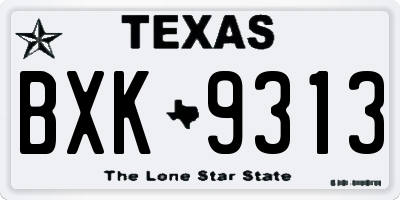TX license plate BXK9313